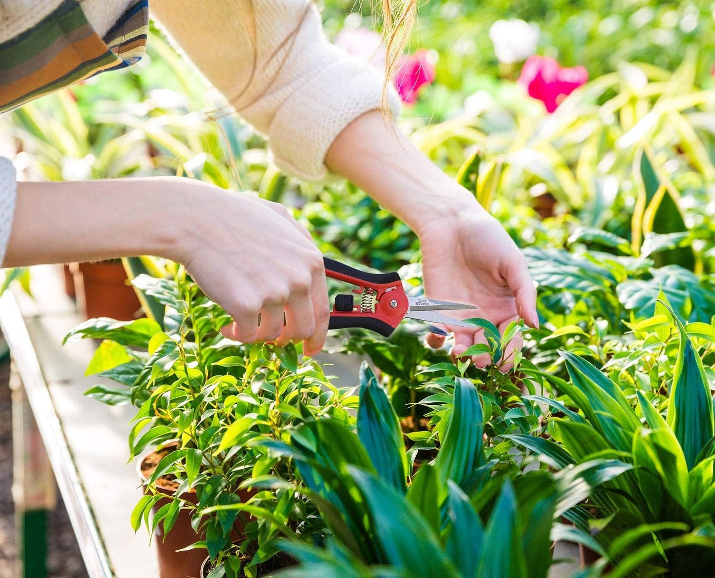 TABOR TOOLS K7A Straight Pruning Shears with Carbon Steel Blades, Florist Scissors, Multi-Tasking Garden Snips for Arranging Flowers, Trimming Plants and Harvesting Herbs, Fruits or Vegetables.