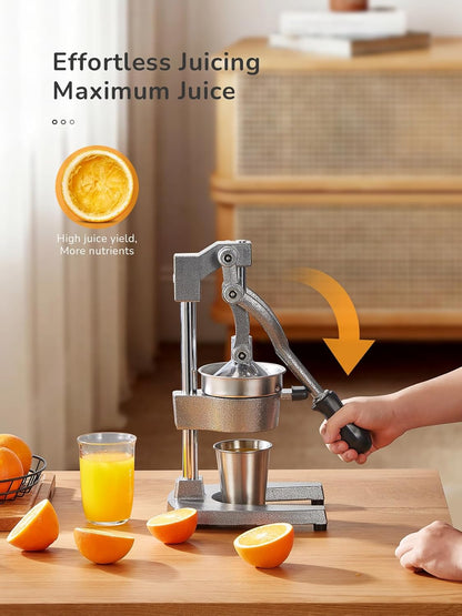 QCen Professional Cast Iron Manual Juicer, Heavy Duty Citrus Press with Stainless Steel Strainer, Easy-to-Clean Hand Squeezer for Orange, Lemon, Lime and Grapefruit - Black (Black)