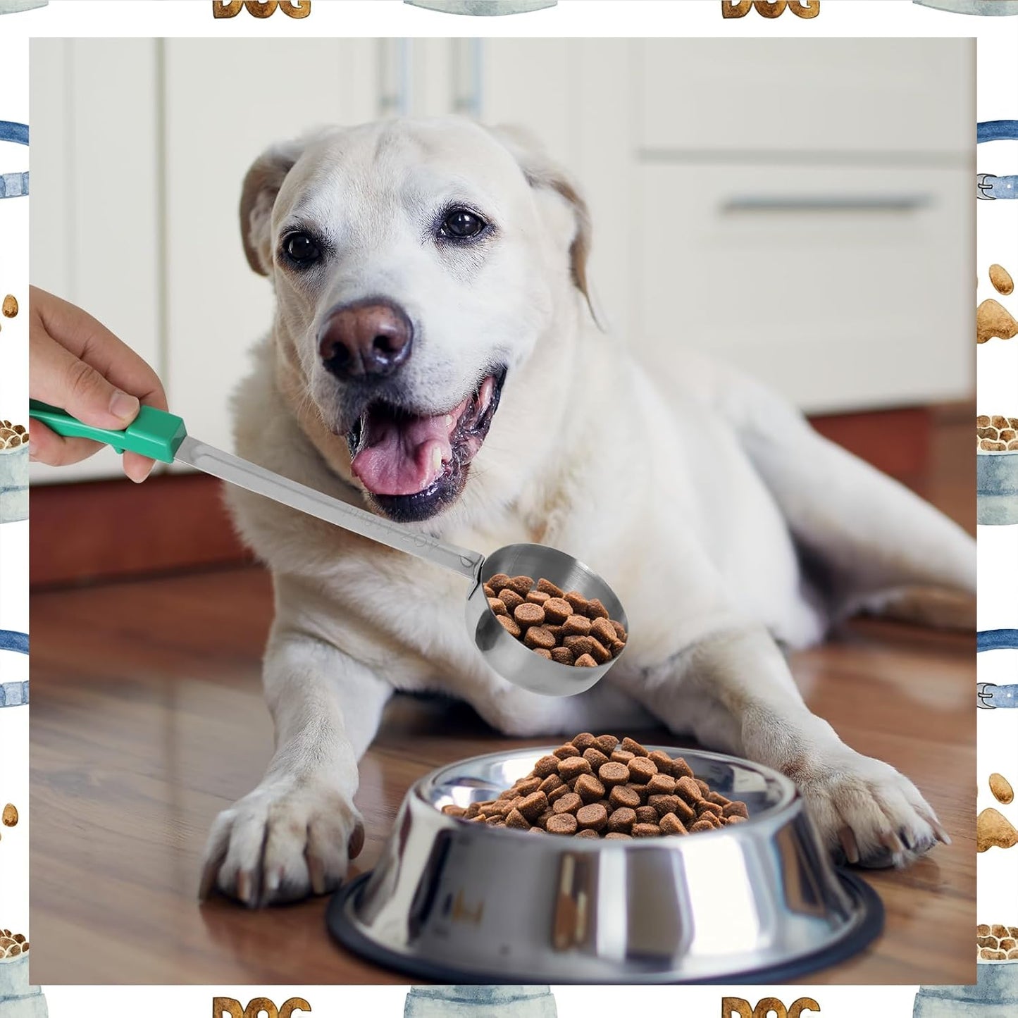 2 Pcs Dog Food Scoop Long Handled Scoops 3/4 Cup Stainless Steel Measuring Cups Portion Control Serving Spoons for Dogs Cats Birds and Rabbits Pet Food Feeding Scoop (3/4 Cup)