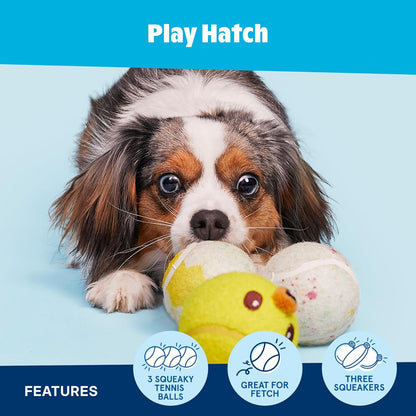 Barkbox Baller Melons Squeaky Tennis Balls for Dogs | Trio of Watermelon-Themed Fetch Balls with Squeakers | for Extra Small to Medium Dogs