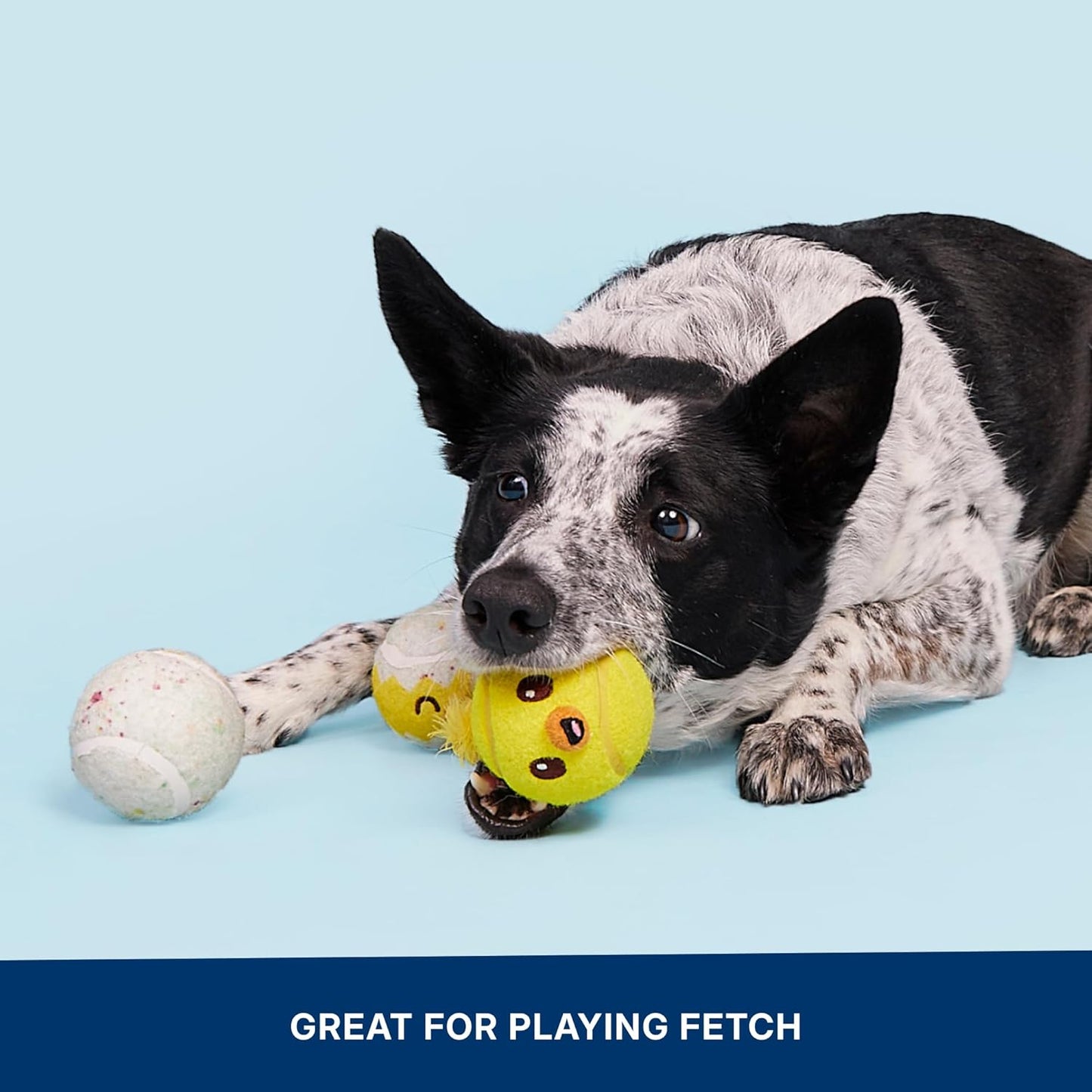 Barkbox Baller Melons Squeaky Tennis Balls for Dogs | Trio of Watermelon-Themed Fetch Balls with Squeakers | for Extra Small to Medium Dogs