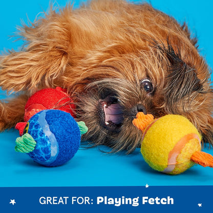 Barkbox Baller Melons Squeaky Tennis Balls for Dogs | Trio of Watermelon-Themed Fetch Balls with Squeakers | for Extra Small to Medium Dogs