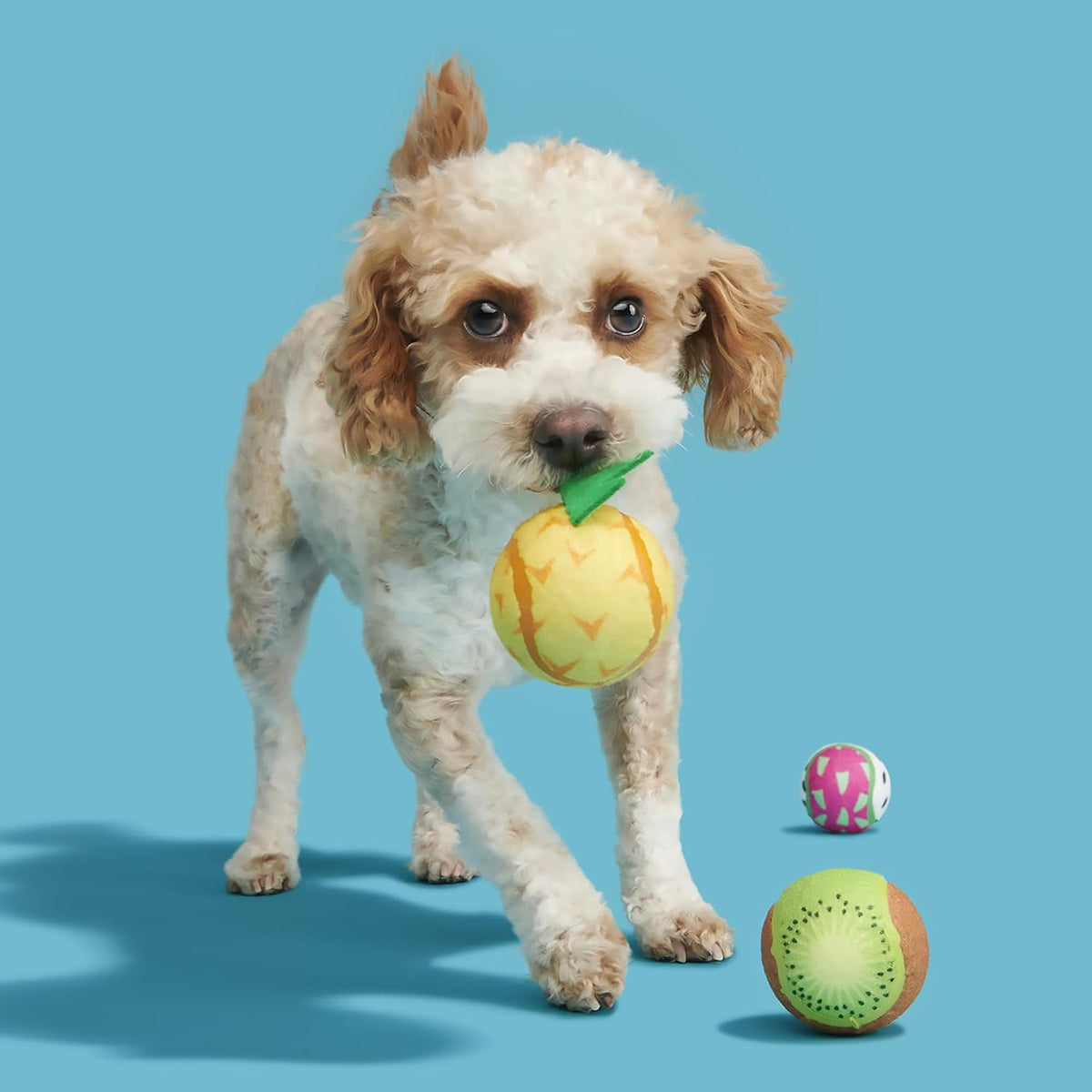 Barkbox Baller Melons Squeaky Tennis Balls for Dogs | Trio of Watermelon-Themed Fetch Balls with Squeakers | for Extra Small to Medium Dogs