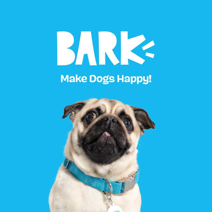Barkbox Baller Melons Squeaky Tennis Balls for Dogs | Trio of Watermelon-Themed Fetch Balls with Squeakers | for Extra Small to Medium Dogs