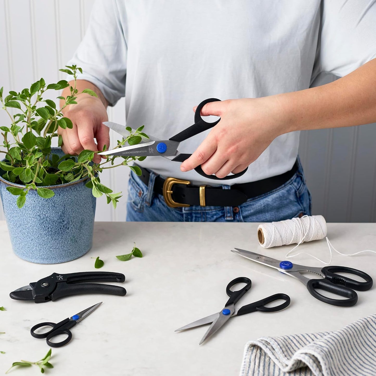 Kitchen Shears for Herbs, 2-pc, Dishwasher Safe, Heavy Duty, Stainless Steel, Take A Part Shears