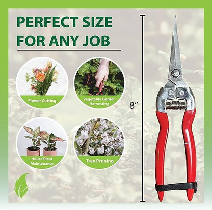 Extra Long Stainless Steel Pruner Pruning Shears Clippers Snips – Sharp Bonsai Cutter Plant Trimming Scissors – Straight Blade Garden Scissors Tool – Great for Roses Flowers Herbs Fruits