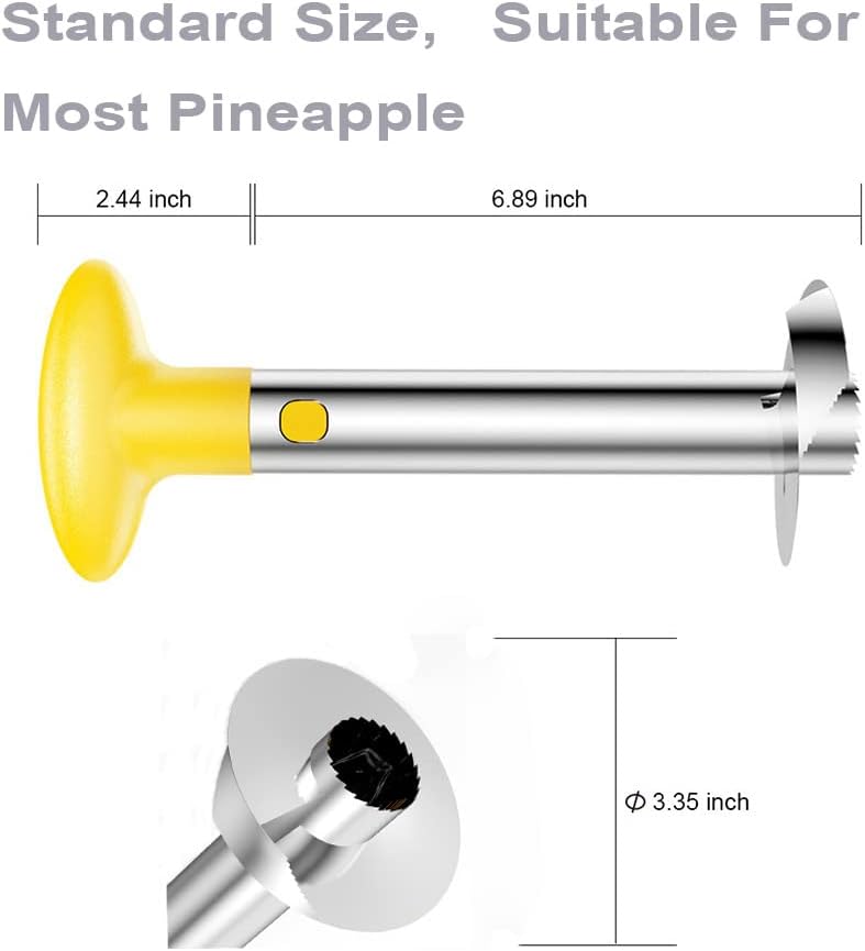 Easy Kitchen Tool Fruit Pineapple Peeler Corer Slicer Cutter | With Stainless Steel