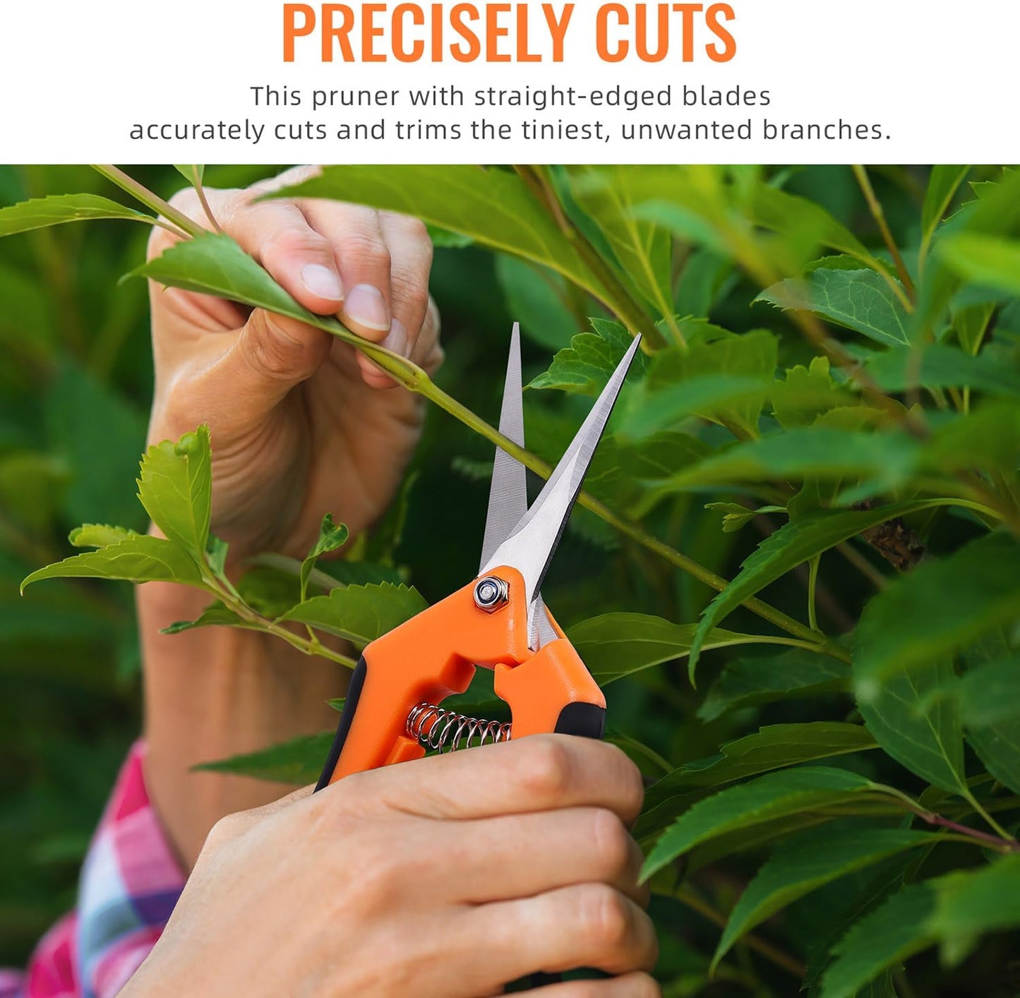 4 Pack Pruning Shears, 6.5 Inch Garden Scissors Gardening Hand Pruning Snips with Straight Stainless Steel Precision Blades for Gardening Flower Plant Precise Trimming and Pruning Maintenance