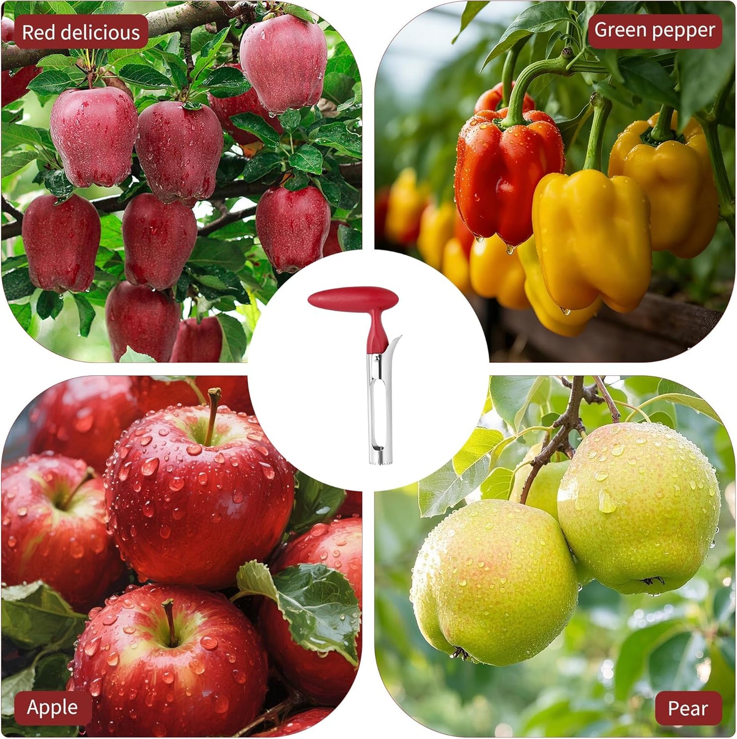 Apple Corer Tool, Stainless Steel Apple Core Remover with Ergonomics Handle - Sharp Serrated Blades - Dishwasher Safe