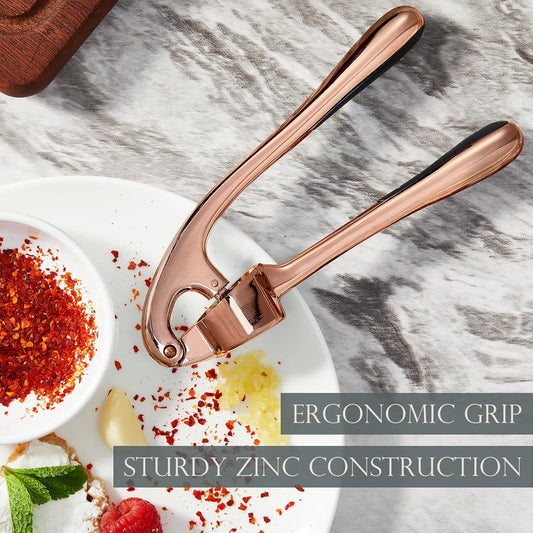 Kitessensu High Effective Garlic Press With Studs, Heavy Duty Garlic Mincer, Easy to Squeeze and Clean, Rust Proof, Ginger Crusher- Imperial Silver
