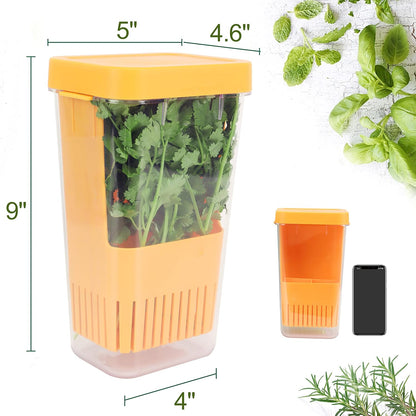 LUVCOSY Herb Keeper Set: 3 Pack Herb Saver+1 Pack Herb Scissors+2 Pack Herb Stripper, BPA-Free Plastic Herb Container for Cilantro, Mint & Asparagus, Keeps Fresh Herbs for 3 Times Longer