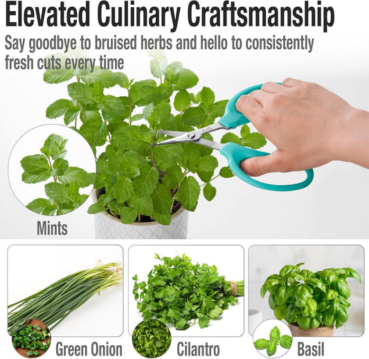 Beaditive Culinary Herb Scissors - Compact 6.5-Inch Stainless Steel Kitchen Scissors - Dishwasher Safe - Sharp Tip for Snipping Fresh Herbs
