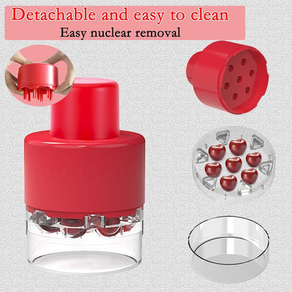 Cherry Pitter Tool, Heavy-Duty Stainless Steel Pitting Tool, Portable Cherries Corer Stoner Seed Tool with Lock Design, Fruit Pit Remover for Cherry Jam(Black)