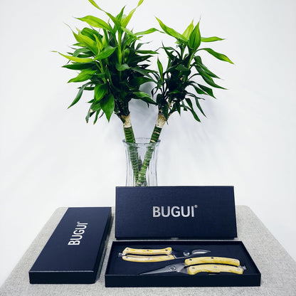 BUGUI Garden Shears Set of 2, Includes 1 Bypass Pruning Shears and 1 Straight Blade Garden Scissors, Sharp, Lightweight