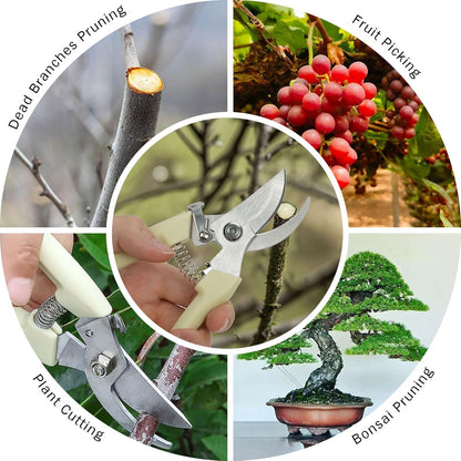Professional Pruning Shears,Premium Garden Scissors, Stainless Steel Blade Garden Shears,Perfect for Trimming Flowers, Shaping Plants, Bonsai,Hydroponics,Herbs