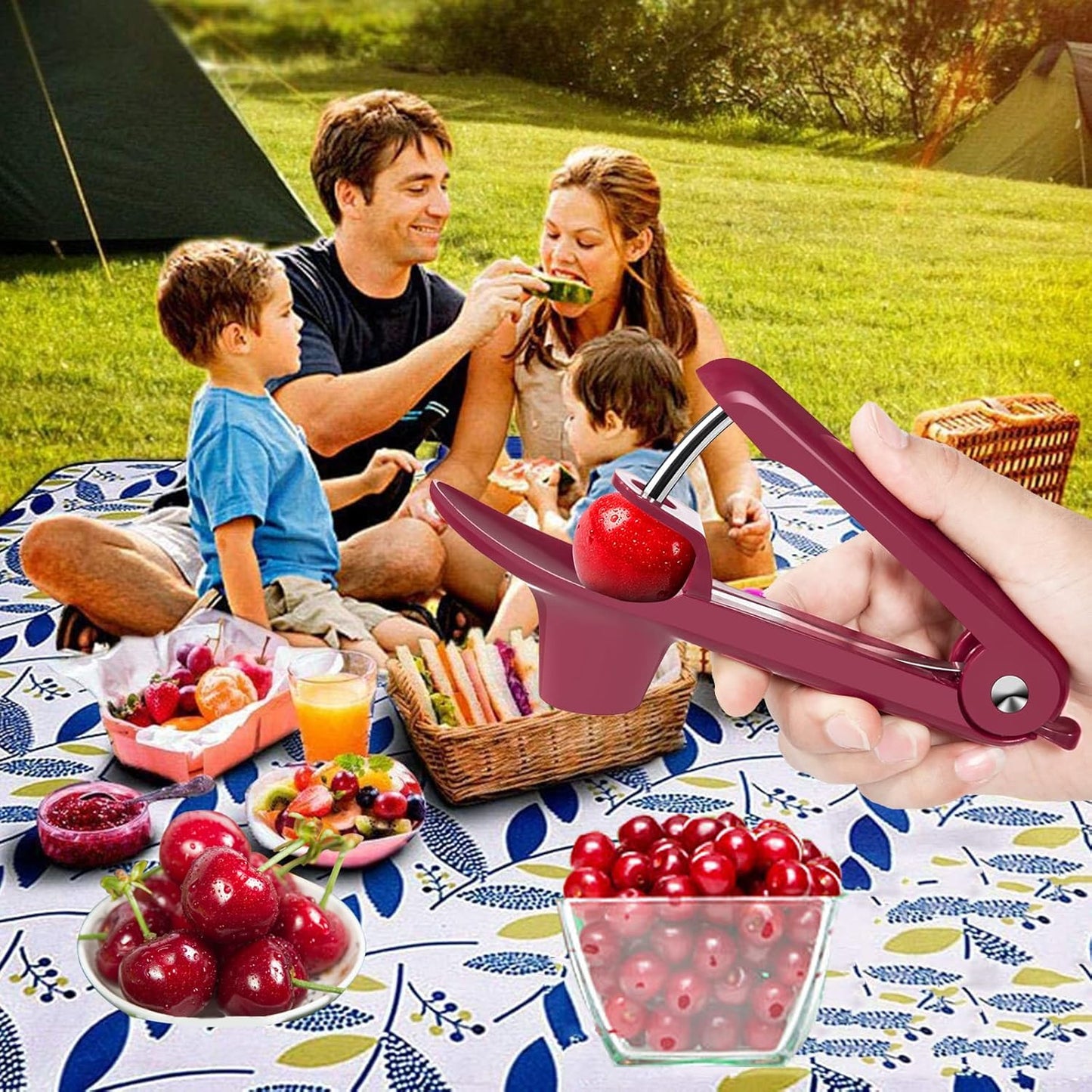 Cherry Pitter,Cherry Seed Remover Olives Pitter Tool with Space-Saving Lock Design,Multi-Function Fruit Pit Remover for Making Cherry Jam ( Stainless Steel / Heavy-Duty)