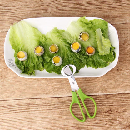 6Pcs Quail Egg Cutter Scissors Kitchen Egg Shears Tool (Green)