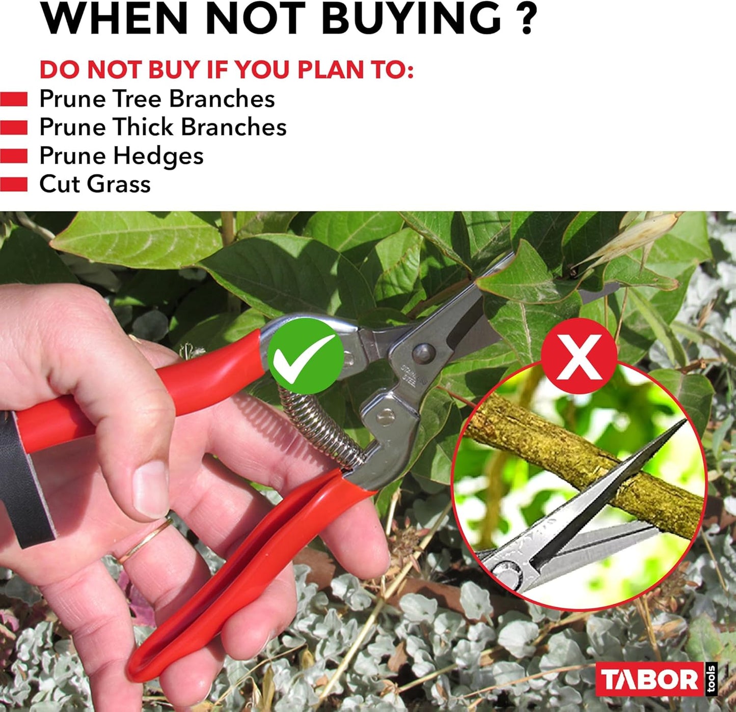 TABOR TOOLS K7A Straight Pruning Shears with Carbon Steel Blades, Florist Scissors, Multi-Tasking Garden Snips for Arranging Flowers, Trimming Plants and Harvesting Herbs, Fruits or Vegetables.
