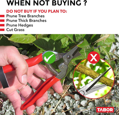 TABOR TOOLS K7A Straight Pruning Shears with Carbon Steel Blades, Florist Scissors, Multi-Tasking Garden Snips for Arranging Flowers, Trimming Plants and Harvesting Herbs, Fruits or Vegetables.