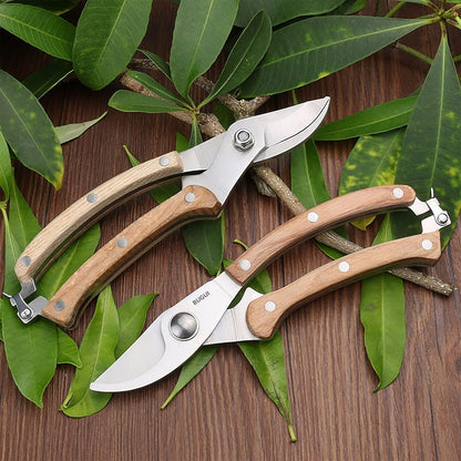 BUGUI Garden Shears Set of 2, Includes 1 Bypass Pruning Shears and 1 Straight Blade Garden Scissors, Sharp, Lightweight
