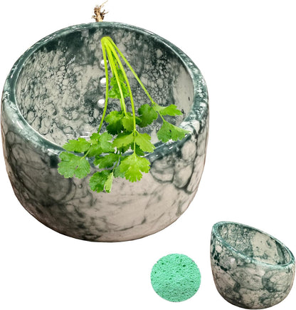 Herb Stripper Bowl, Pottery Ceramic Herb Stripper Stripper for Ergonomic Design Fast Leaf Removal (Green)