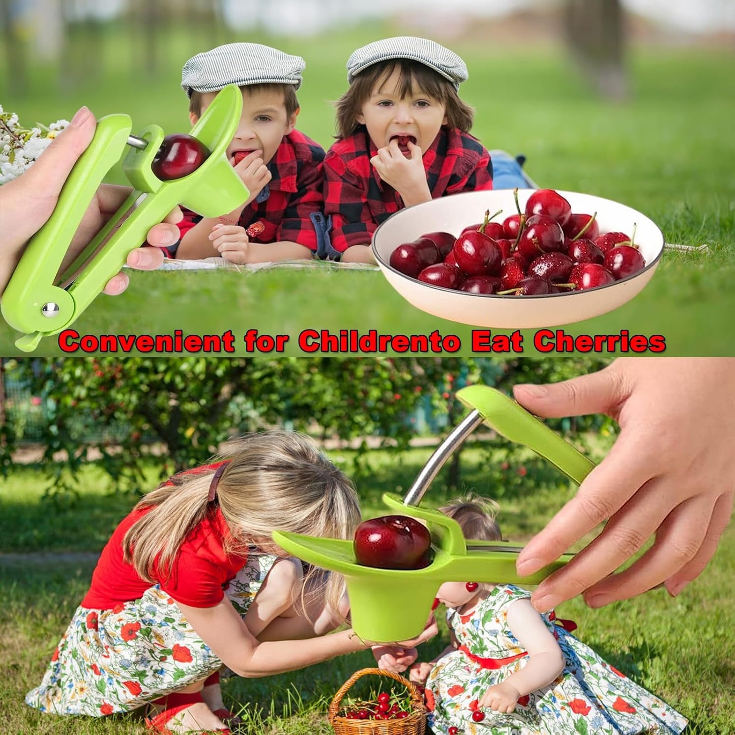 Cherry Pitter Tool, Heavy-Duty Stainless Steel Pitting Tool, Portable Cherries Corer Stoner Seed Tool with Lock Design, Fruit Pit Remover for Cherry Jam(Black)