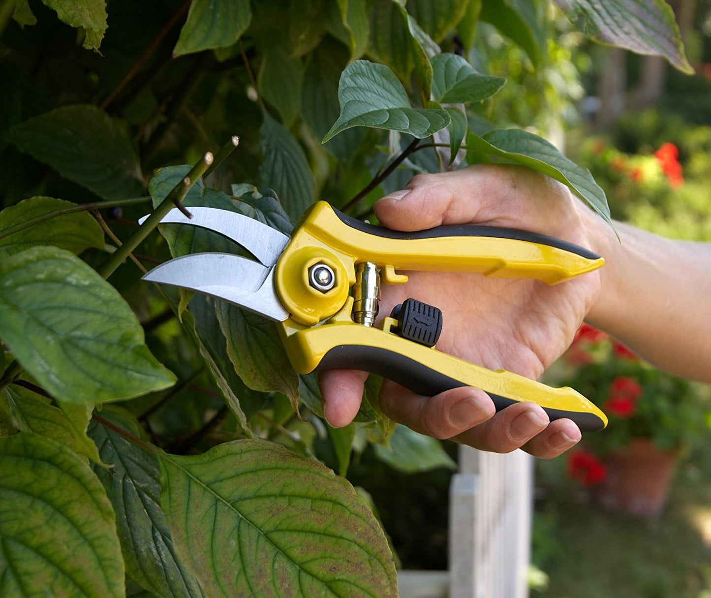 Dramm ColorPoint Stainless Steel Compact Garden Pruning Shears, Hand Pruner, Garden Clippers, with Heavy Duty Blade and Easy grip Handle, Yellow