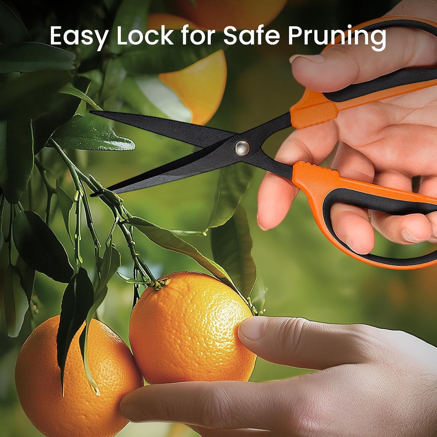 GROWNEER 3 Packs Trimming Scissors Teflon Coated Non Stick Blades Pruning Shears Gardening Hand Pruning Snips with Straight Stainless Steel Precision Blade
