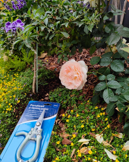 Fondwell 6.5" Pruning Shears Trimming Scissors: 2 Pack of Small Garden Snips with Micro Tip - Plant Clippers of High Cutting Efficiency