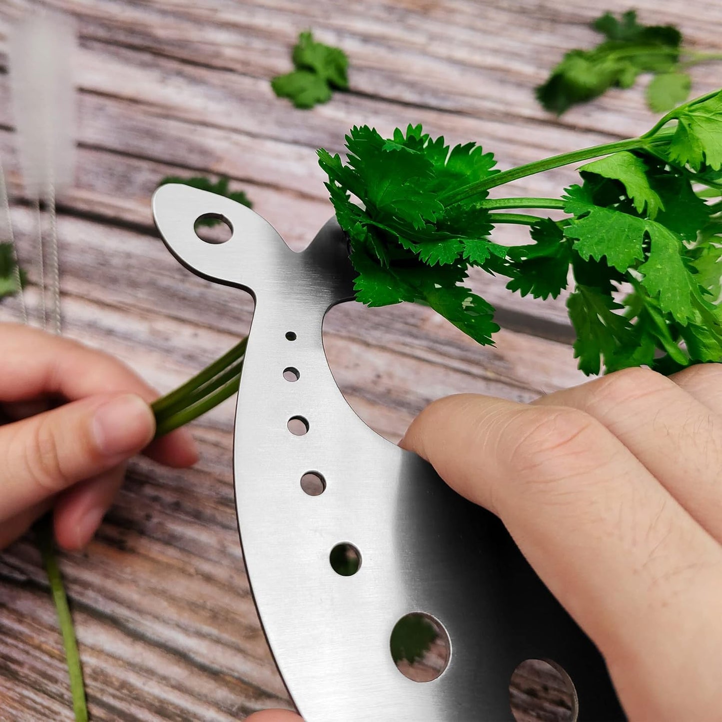 Stainless Steel Herb Stripper, 10-Hole Leaf Stripper Tool for Kale, Collards, Greens, 1 PC