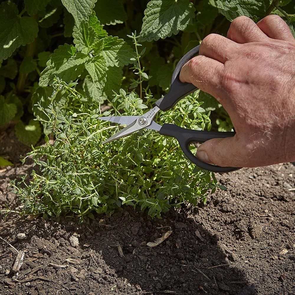Mercer Culinary Herb Snips, 6 1/2-Inch