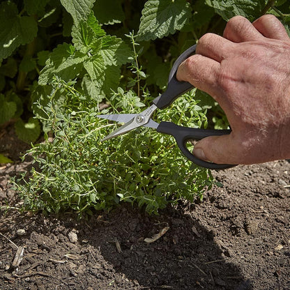 Mercer Culinary Herb Snips, 6 1/2-Inch