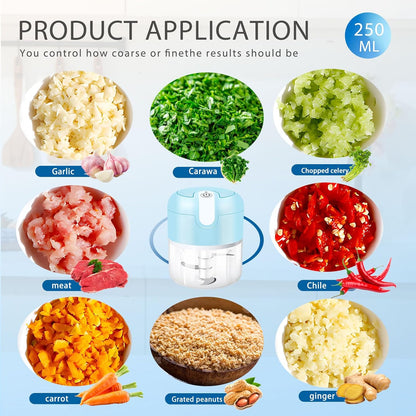 EASYSPEED Electric Garlic Chopper 1Cup, Mini USB Charging Wireless Food Processor with 304 Stainless Steel, 3 Sharp Blades, Portable Kitchen Meat Grinder for Onion, Garlic, Ginger, Chili