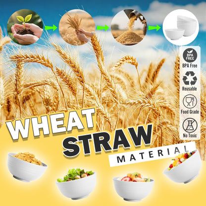 Wheat Straw Bowls Set with Lids, Unbreakable 40 OZ Cereal Bowls Set of 4, Salad Container for Lunch, Microwave & Dishwasher Safe Bowl Set for Kitchen, Picnic, RV, Camping, Multi