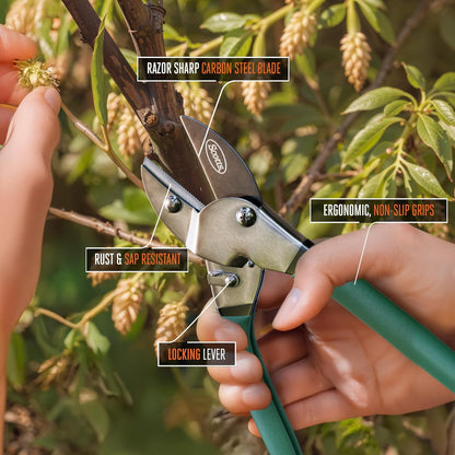 Scotts 8 in. All-Purpose Steel Garden Utility Shears with Serrated Blades – Comfort Grip Yard and Garden Scissors for Pruning Plants, Flowers, and Herbs