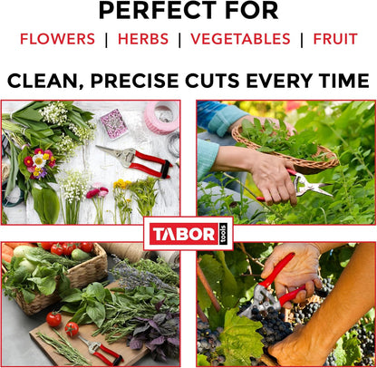 TABOR TOOLS K7A Straight Pruning Shears with Carbon Steel Blades, Florist Scissors, Multi-Tasking Garden Snips for Arranging Flowers, Trimming Plants and Harvesting Herbs, Fruits or Vegetables.