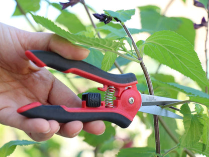 TABOR TOOLS K7A Straight Pruning Shears with Carbon Steel Blades, Florist Scissors, Multi-Tasking Garden Snips for Arranging Flowers, Trimming Plants and Harvesting Herbs, Fruits or Vegetables.