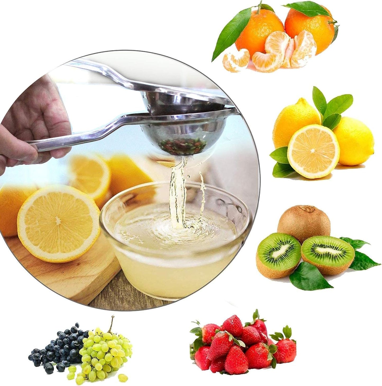 EcoJeannie Premium Quality Lemon Squeezer Stainless Steel w/Food Grade #304 Food Grade, Anti-Corrosive Premium Quality Manual Jumbo Size Squeezer, Manual Citrus Press Juicer, LS0001