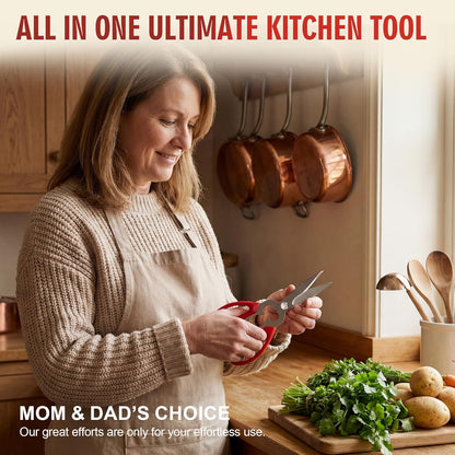 Multi-Purpose Kitchen Shears, 9" Heavy Duty Japanese 420J2 Stainless Steel, Detachable Blades for Poultry, Herbs, Fish, Nuts, Jar & Bottle Opening, Dishwasher Safe, Soft Ergonomic Handle