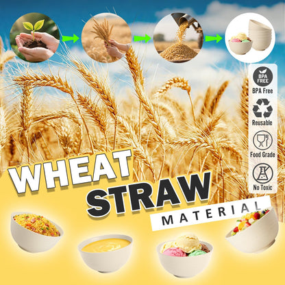 Wheat Straw Bowls Set with Lids, Unbreakable 40 OZ Cereal Bowls Set of 4, Salad Container for Lunch, Microwave & Dishwasher Safe Bowl Set for Kitchen, Picnic, RV, Camping, Multi
