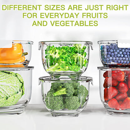 LUXEAR Fresh Produce Vegetable Fruit Storage Containers 3Piece Set, BPA-free Fridge Storage Container, Partitioned Salad Container, Fridge Organizers, Used in Storing Fruits Vegetables, Green