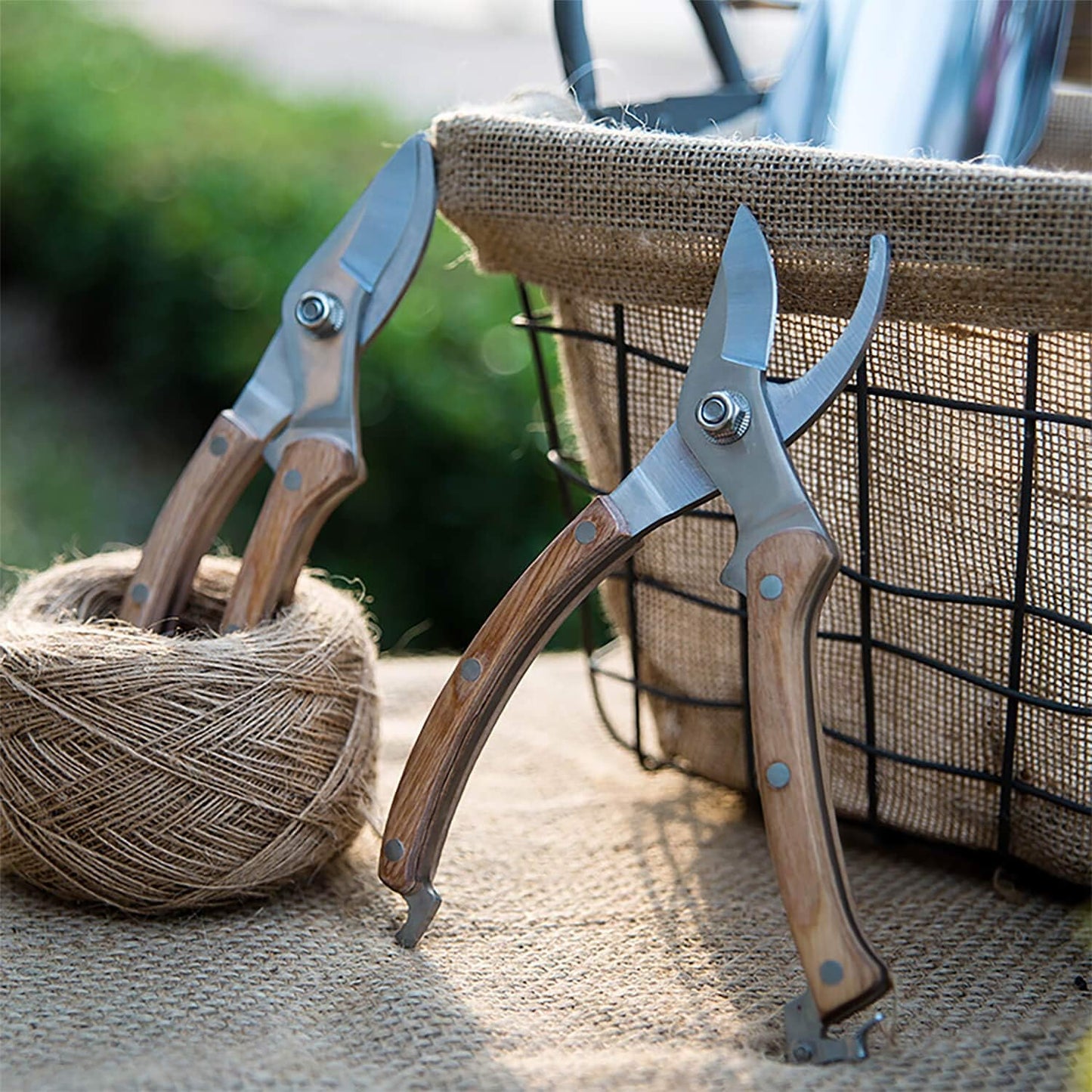 BUGUI Garden Shears Set of 2, Includes 1 Bypass Pruning Shears and 1 Straight Blade Garden Scissors, Sharp, Lightweight