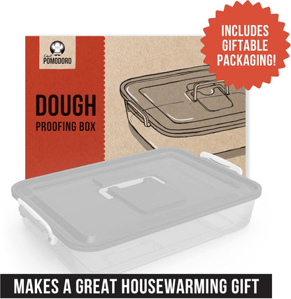 Chef Pomodoro Pizza Dough Proofing Box, 14 x 11-Inch, Preparation Container with Lid, Fits 4-6 Proofing Balls, Household Pizza and Bread Dough Tray With Convenient Carry Handle (Blue)