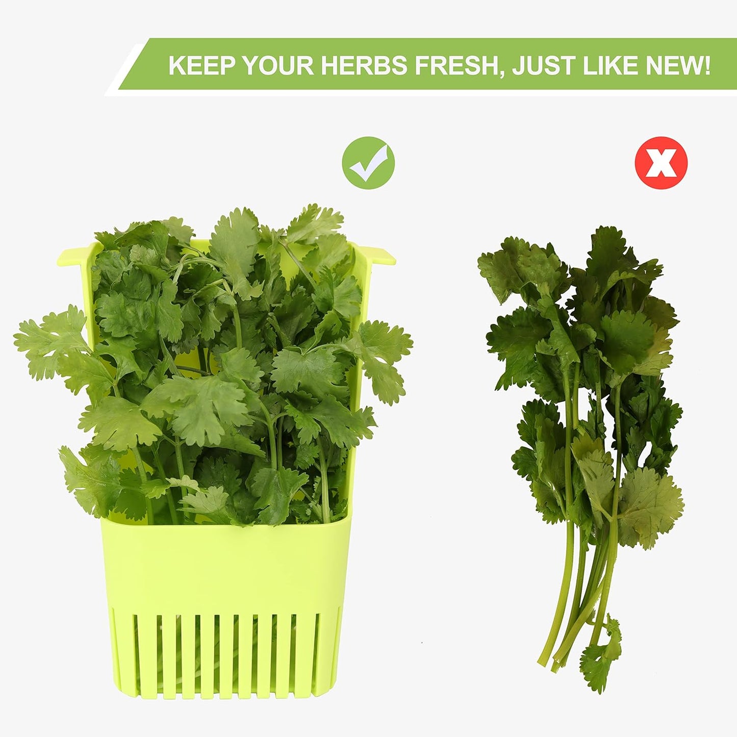 LUVCOSY Herb Keeper Set: 3 Pack Herb Saver+1 Pack Herb Scissors+2 Pack Herb Stripper, BPA-Free Plastic Herb Container for Cilantro, Mint & Asparagus, Keeps Fresh Herbs for 3 Times Longer