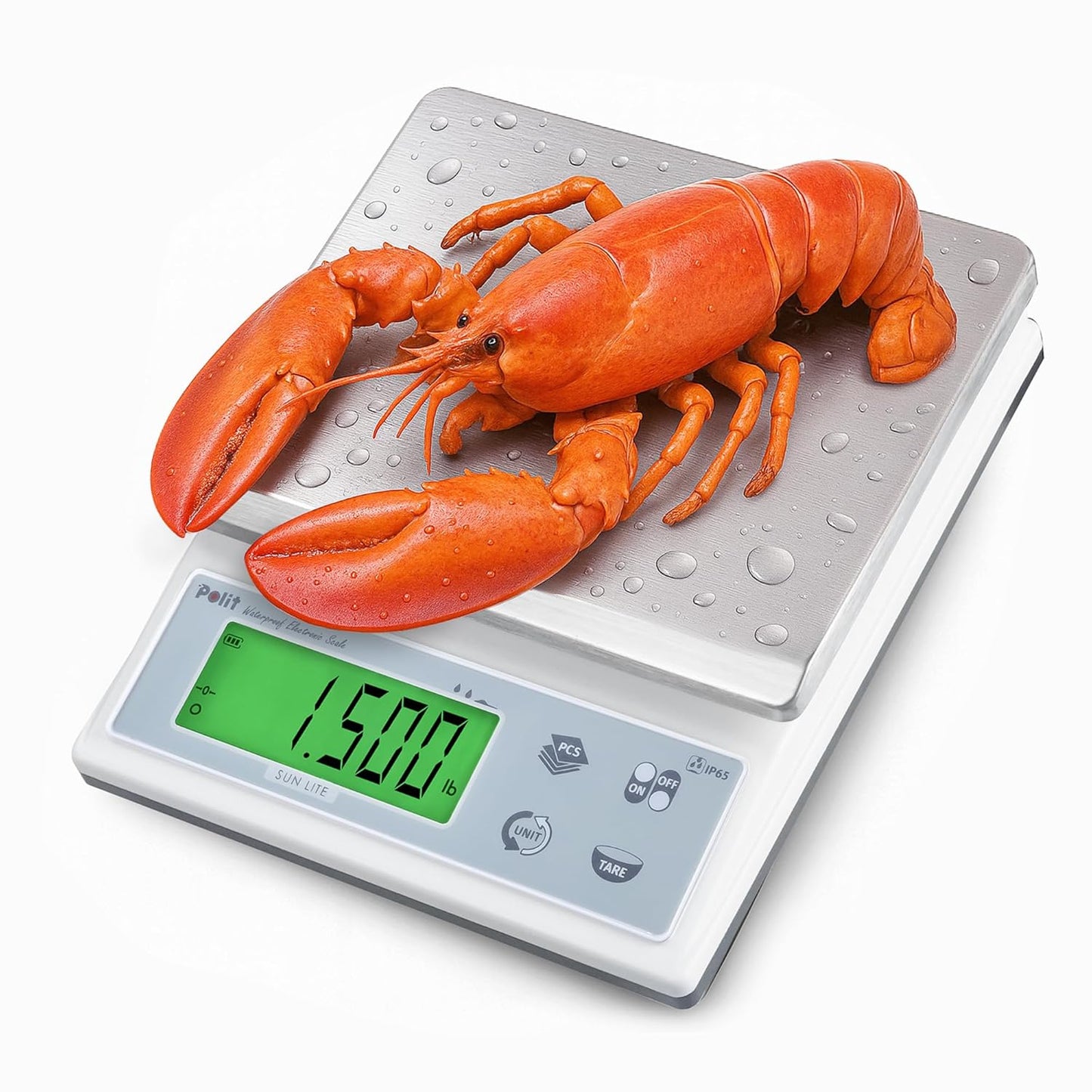 Polit Digital Kitchen Scale KT-66 30lb/13kg｜0.05oz/1g Precision Food Scale with LCD Display｜Battery or Plug-in｜Stainless Steel Top｜Grams, Ounces, Pounds｜5 Units for Baking, Farming & Shipping Scale