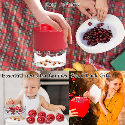 Cherry Pitter Tool, Heavy-Duty Stainless Steel Pitting Tool, Portable Cherries Corer Stoner Seed Tool with Lock Design, Fruit Pit Remover for Cherry Jam(Black)