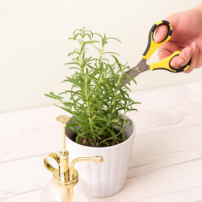 American Crafts Cutter Bee Herb Scissors 4/Pkg-Yellow/Black