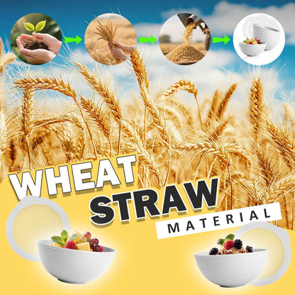Wheat Straw Bowls Set with Lids, Unbreakable 40 OZ Cereal Bowls Set of 4, Salad Container for Lunch, Microwave & Dishwasher Safe Bowl Set for Kitchen, Picnic, RV, Camping, Multi