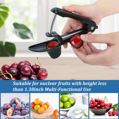 EWPJDK Cherry Pitter Tool Pit Remover Heavy-Duty Stainless Steel Olive Pitter Tool for Making Cherry Jam (Black)