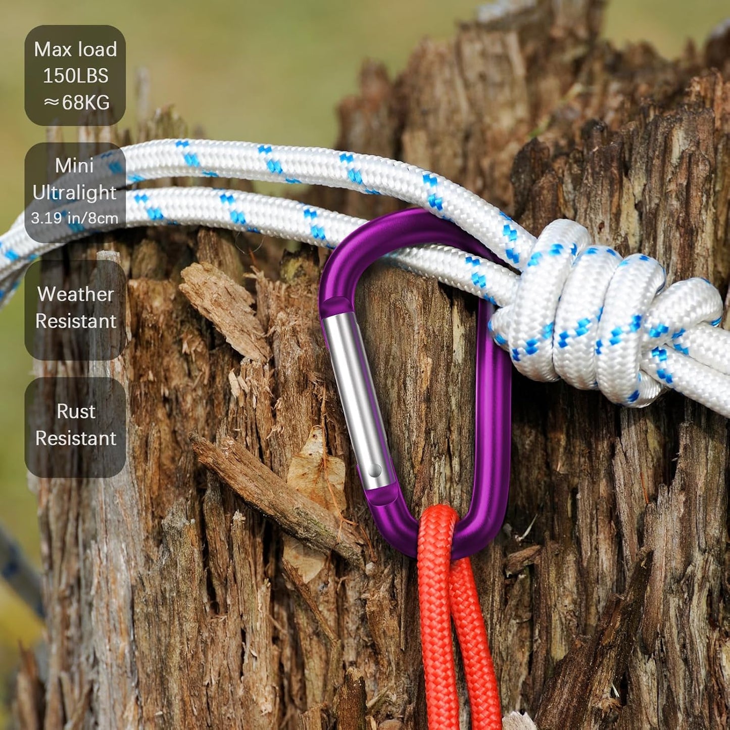 sprookber 3" Aluminum Carabiner D Ring, Caribeener Clips, Spring Snap Hook for Keychain Clip, Set of 10